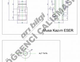 Musa Eser-4