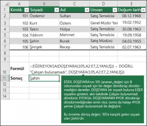 Excel'de Düşeyara İşlevi