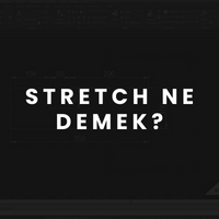 Stretch Ne Demek