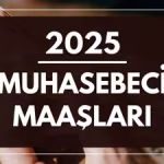 Muhasebeci Maaşları 2025